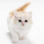 ヒメ日記 2025/06/03 22:40 投稿 横川 MadameRest(マダムレスト)