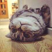 ヒメ日記 2025/06/06 03:50 投稿 横川 MadameRest(マダムレスト)