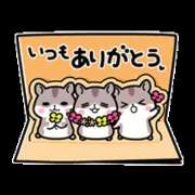 ヒメ日記 2025/06/10 18:39 投稿 横川 MadameRest(マダムレスト)