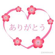 ヒメ日記 2025/06/13 04:11 投稿 横川 MadameRest(マダムレスト)