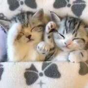 ヒメ日記 2025/06/17 04:14 投稿 横川 MadameRest(マダムレスト)