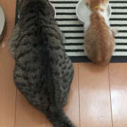 ヒメ日記 2025/06/17 08:54 投稿 横川 MadameRest(マダムレスト)