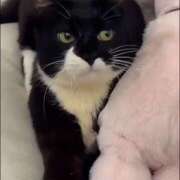 ヒメ日記 2025/06/19 19:16 投稿 横川 MadameRest(マダムレスト)