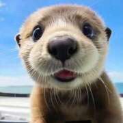 ヒメ日記 2025/06/21 15:24 投稿 横川 MadameRest(マダムレスト)