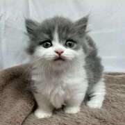 ヒメ日記 2025/06/22 11:21 投稿 横川 MadameRest(マダムレスト)