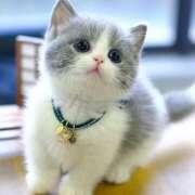 ヒメ日記 2025/06/23 15:47 投稿 横川 MadameRest(マダムレスト)