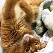 ヒメ日記 2025/06/26 12:49 投稿 横川 MadameRest(マダムレスト)