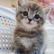 ヒメ日記 2025/06/29 06:03 投稿 横川 MadameRest(マダムレスト)