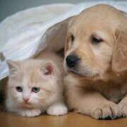 ヒメ日記 2025/07/01 14:56 投稿 横川 MadameRest(マダムレスト)