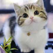 ヒメ日記 2025/07/02 08:31 投稿 横川 MadameRest(マダムレスト)