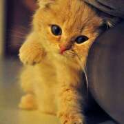 ヒメ日記 2025/07/03 03:33 投稿 横川 MadameRest(マダムレスト)