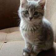 ヒメ日記 2025/07/03 15:17 投稿 横川 MadameRest(マダムレスト)