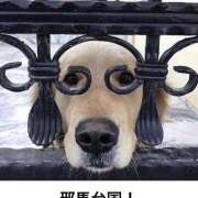 ヒメ日記 2025/07/04 12:06 投稿 横川 MadameRest(マダムレスト)