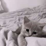 ヒメ日記 2025/07/05 01:54 投稿 横川 MadameRest(マダムレスト)