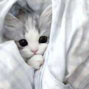 ヒメ日記 2025/07/05 07:51 投稿 横川 MadameRest(マダムレスト)