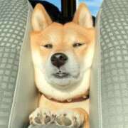 ヒメ日記 2025/07/06 05:35 投稿 横川 MadameRest(マダムレスト)