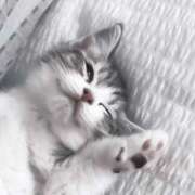 ヒメ日記 2025/07/06 08:30 投稿 横川 MadameRest(マダムレスト)