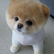 ヒメ日記 2025/07/06 13:13 投稿 横川 MadameRest(マダムレスト)