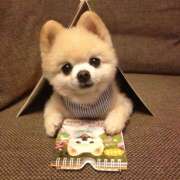 ヒメ日記 2025/07/06 19:47 投稿 横川 MadameRest(マダムレスト)