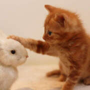 ヒメ日記 2025/07/07 08:10 投稿 横川 MadameRest(マダムレスト)