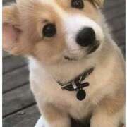 ヒメ日記 2025/07/09 00:36 投稿 横川 MadameRest(マダムレスト)