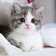 ヒメ日記 2025/07/10 19:35 投稿 横川 MadameRest(マダムレスト)