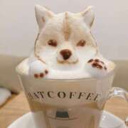 ヒメ日記 2025/07/20 12:53 投稿 横川 MadameRest(マダムレスト)