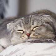 ヒメ日記 2025/07/21 12:27 投稿 横川 MadameRest(マダムレスト)