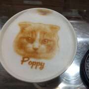 ヒメ日記 2025/07/22 14:56 投稿 横川 MadameRest(マダムレスト)