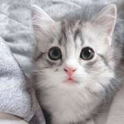 ヒメ日記 2025/07/30 03:51 投稿 横川 MadameRest(マダムレスト)