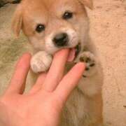 ヒメ日記 2025/08/01 07:46 投稿 横川 MadameRest(マダムレスト)