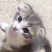 ヒメ日記 2025/08/02 05:35 投稿 横川 MadameRest(マダムレスト)