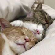 ヒメ日記 2025/08/03 07:13 投稿 横川 MadameRest(マダムレスト)