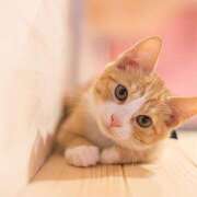 ヒメ日記 2025/08/03 11:44 投稿 横川 MadameRest(マダムレスト)