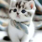 ヒメ日記 2025/08/13 21:08 投稿 横川 MadameRest(マダムレスト)