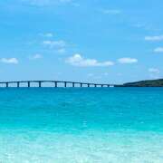 ヒメ日記 2025/08/17 06:07 投稿 横川 MadameRest(マダムレスト)