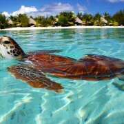 ヒメ日記 2025/08/18 07:04 投稿 横川 MadameRest(マダムレスト)