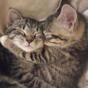 ヒメ日記 2025/08/19 01:31 投稿 横川 MadameRest(マダムレスト)