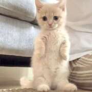 ヒメ日記 2025/08/19 08:10 投稿 横川 MadameRest(マダムレスト)