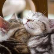 ヒメ日記 2025/08/24 11:44 投稿 横川 MadameRest(マダムレスト)