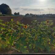 ヒメ日記 2025/08/31 06:08 投稿 横川 MadameRest(マダムレスト)