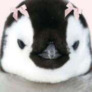 ヒメ日記 2025/09/01 09:20 投稿 横川 MadameRest(マダムレスト)