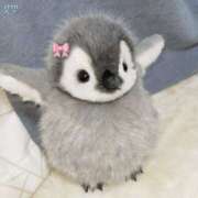 ヒメ日記 2025/09/05 15:25 投稿 横川 MadameRest(マダムレスト)