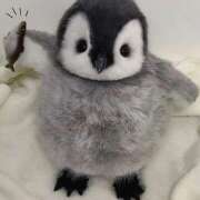 ヒメ日記 2025/09/07 13:32 投稿 横川 MadameRest(マダムレスト)