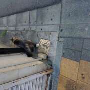 ヒメ日記 2025/09/07 21:31 投稿 横川 MadameRest(マダムレスト)