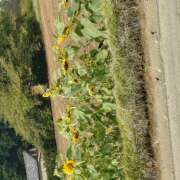 ヒメ日記 2025/09/09 18:21 投稿 横川 MadameRest(マダムレスト)