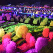 ヒメ日記 2025/09/15 22:40 投稿 横川 MadameRest(マダムレスト)