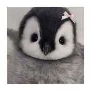 ヒメ日記 2025/09/16 11:42 投稿 横川 MadameRest(マダムレスト)