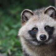 ヒメ日記 2025/10/13 20:28 投稿 横川 MadameRest(マダムレスト)