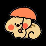 ヒメ日記 2025/10/16 01:45 投稿 横川 MadameRest(マダムレスト)